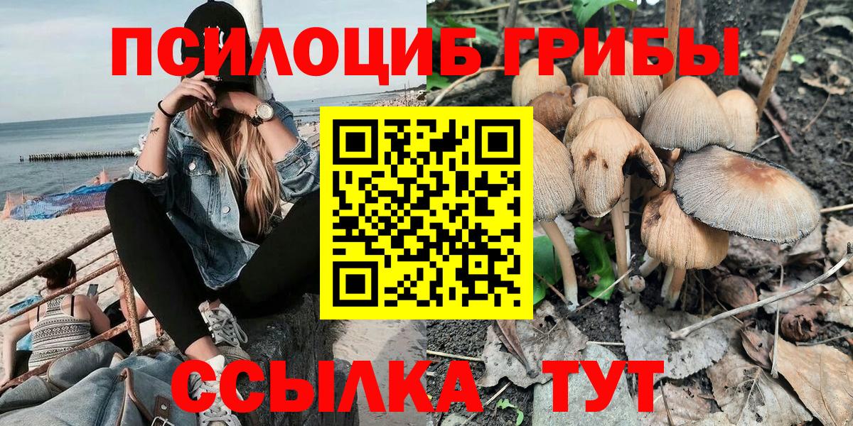 Псилоцибиновые грибы Psilocybine cubensis Будённовск